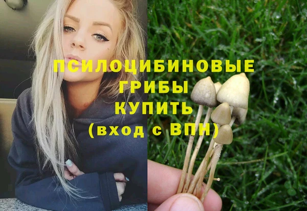 a pvp Алзамай