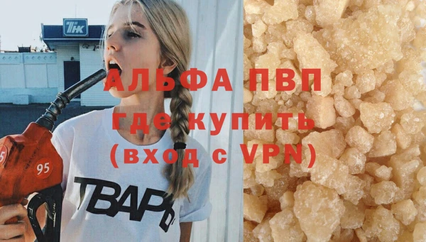 a pvp Алзамай