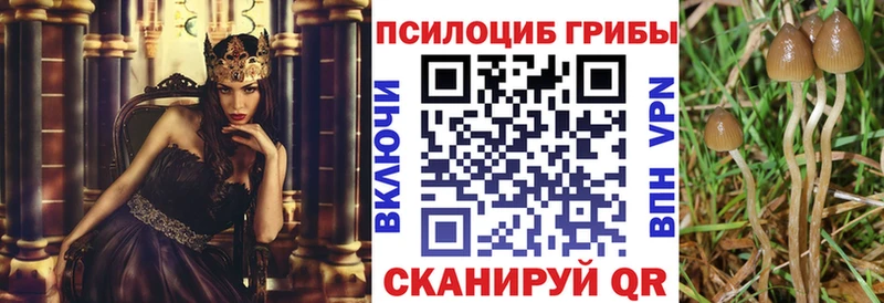 Купить  Струнино  Галлюциногенные грибы мицелий 